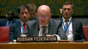 Statement by PR Vassily Nebenzia at UNSC briefing on the issue of migration in the Mediterranean