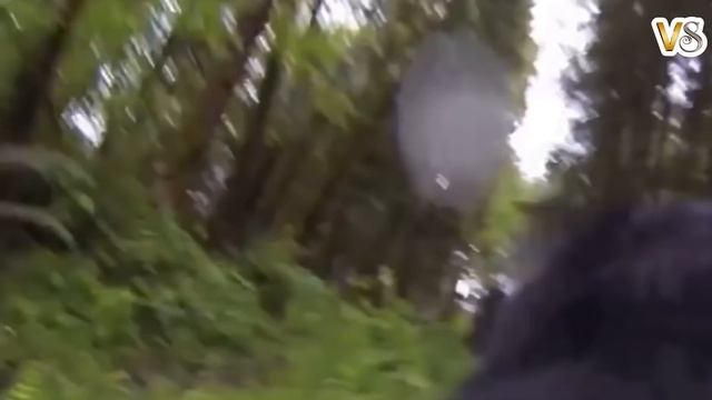 ПАРЕНЬ ПОЙМАЛ ВЕДЬМУ НА СВОЕМ УЧАСТКЕ. УЖАСЫ. смотреть онлайн