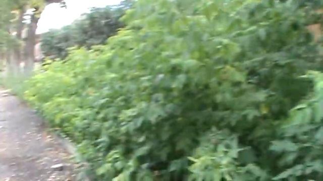 в/ч 40265 смотреть онлайн