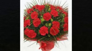 Гвоздика. Цветы гвоздики