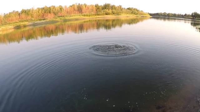 ЛОВЛЯ САЗАНА НА РЕКЕ. Яма 10 метров! Мой ловучий МОНТАЖ! смотреть онлайн