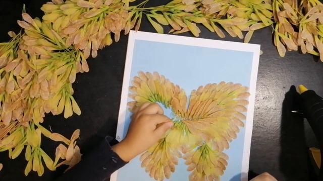 Панно из семян клёна ясенелистного. смотреть онлайн