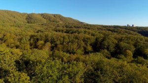 лесопарк Кадош