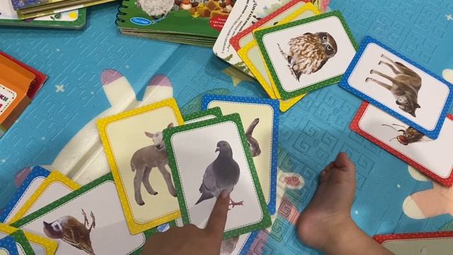 Vlog. Игрушки для ребенка в 1 год?. Как ими занимаемся и играем. Детский мир?. Быстрый ужин?️. смотреть онлайн