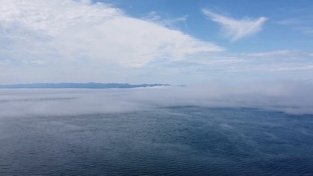 Охотское море / Шантарские острова / Гренладские киты