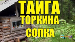 ОХОТА НА ТИГРА | Торкина сопка | ТАЙГА