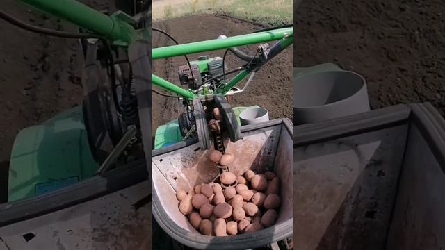 Посадка картофеля самодельной картофелесажалкой 2023г. с дозатором удобрения.