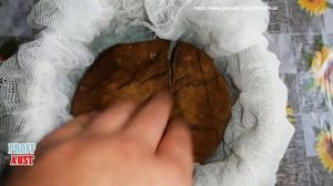 Как вкусно засолить опята на зиму? Солим пластинчатые грибы горячим способом!