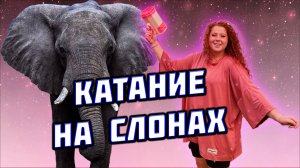 Катаюсь на слонах!