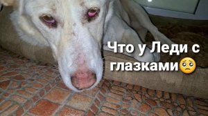 Леди в стрессе не ест Сутки. Съёмки на канал Валеры ЗА КАДРОМ.