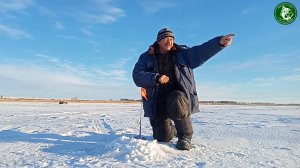 ПОКЛЁВКА ЗА ПОКЛЁВКОЙ, ПО ЧЕТЫРЕ ПОДЪЁМА СРАЗУ! СУДАК ЖИРУЕТ НА ТОБОЛЕ РЫБАЛКА НА ЖЕРЛИЦЫ 2022/2023