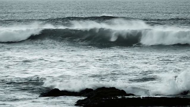 Жюль Массне  - "Размышление" (из оперы “Таис”). 2005 смотреть онлайн