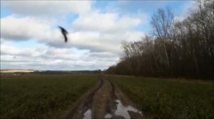 Там шли, шли два брата. Русская песня