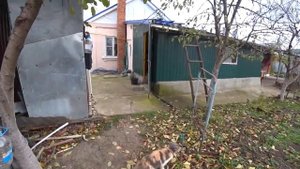 НЕ СТОИТ ДЕРЖАТЬ БОЛЕЕ ДВУХ ЛЕТ? ВПЕРВЫЕ ВАРЮ ТУШЕНКУ?WE LIVE IN THE KUBAN ??