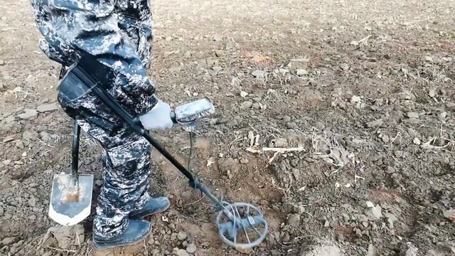 Нашли отличные монеты. Nokta Makro Simplex Plus
