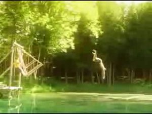 Прыжки в воду с качелей