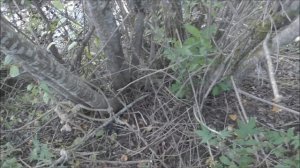 Обзор рычажной лебёдки Matrix 4т