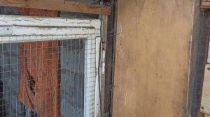 Что делать чтобы куры неслись зимой? Все очень просто!!