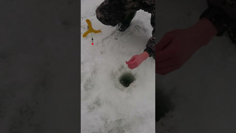 На пассив активно клюёт