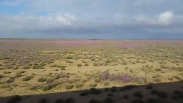 Пустыня Кызылкум смотреть онлайн