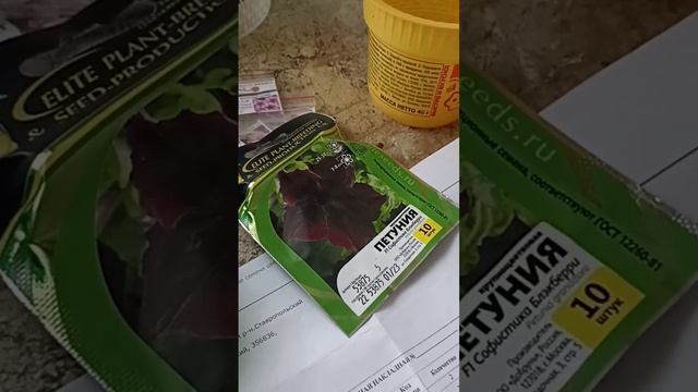 сею ампельную петунью. смотреть онлайн