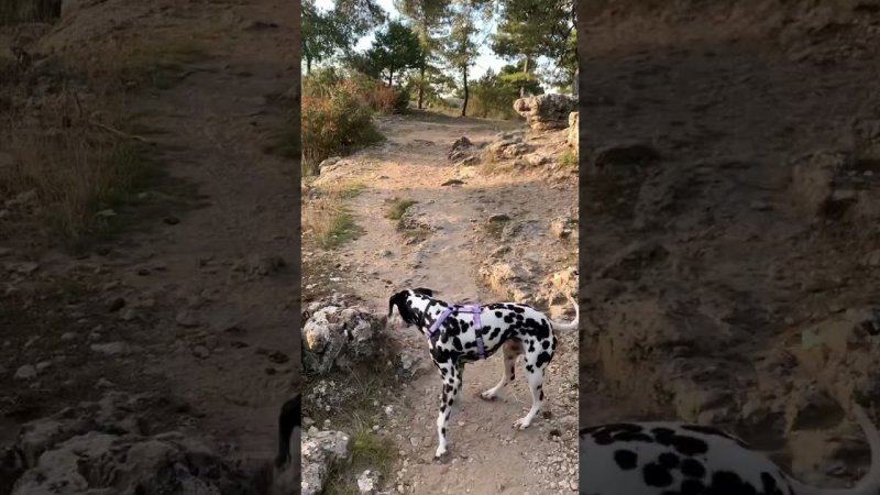 Парк Serranía de Cuenca, Испания