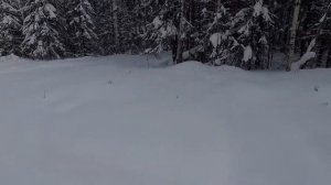 Стелс Ермак 600L. Запуск при - 37' и всякое! Настройка карбов!