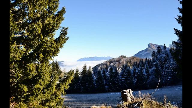 Hoamat 2021 смотреть онлайн