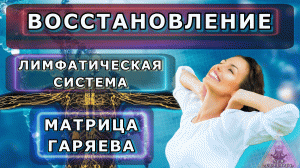 Лимфатическая система - восстановление - матрица доктора Гаряева П. П.