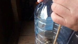 Как долго сохранять живца