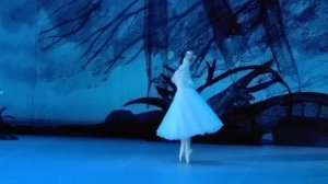 Polina Netsvetaeva-Dolgalyova (debut) in ballet Giselle