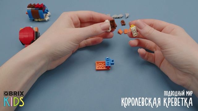 Собираем креветку из конструктора QBRIX KIDS - коллекция детских конструкторов с видеоинструкциями
