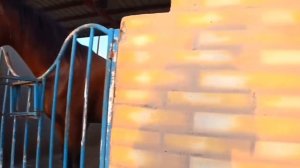 Cаудовская Аравия ЖИЗНЬ людей | Живём на ферме, встреча Нового Года, что едят саудиты #5