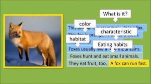 DESCRIBING ANIMALS - PRESENT SIMPLE - BASIC LEVEL