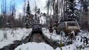 Нивы, Буханка, Паджерик, Микробус. По лесной дороге, Сибирь, Зеленогорск