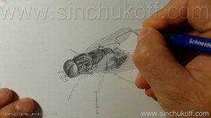 Рисуем муху карандашом