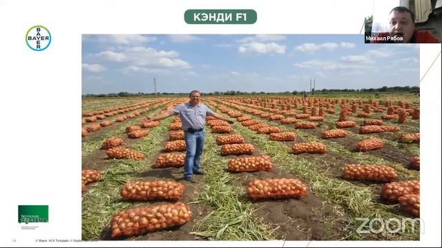 "Особенности сева раннего лука" Встреча с ведущими семенными компаниями смотреть онлайн