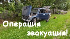 Операция - эвакуация!