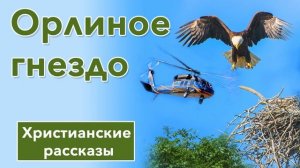 ИНТЕРЕСНЫЙ ХРИСТИАНСКИЙ РАССКАЗ | Орлиное гнездо | Христианские рассказы