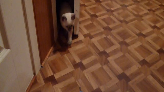 Игры