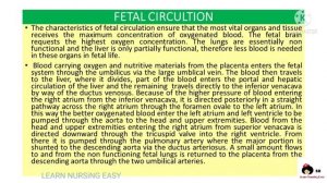 Child Health Nursing (Pediatric) case Study on Patent Ductus Arteriosus(PDA)/Congenital Heart Defec