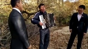 Аксылык Кукен акардион менен "Чынара"(Райкомол 86)
