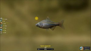 Трофейная Рыбалка 2 путеводитель, прохождение квеста, Горчак амурский