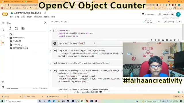 OpenCV Object Counter смотреть онлайн