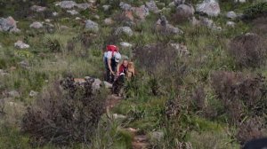 Table Mountain National Park: a tribute to one of the world's natural wonders