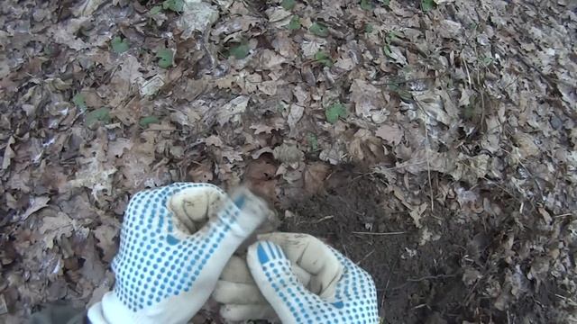 ПЛЮСЫ и МИНУСЫ металлоискателя Minelab Vanquish / Первый реальный поиск!