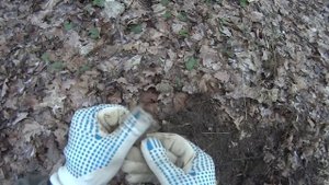 ПЛЮСЫ и МИНУСЫ металлоискателя Minelab Vanquish / Первый реальный поиск!