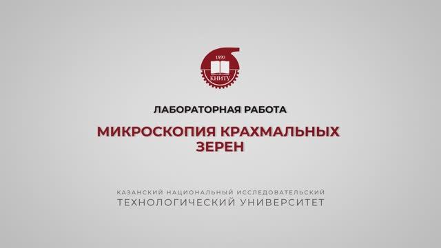 Балымова Е.С.  Лабораторная работа 1