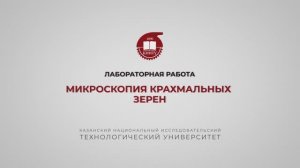 Балымова Е.С.  Лабораторная работа 1