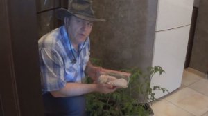 Копчение куриных бедрышек (рецепт).